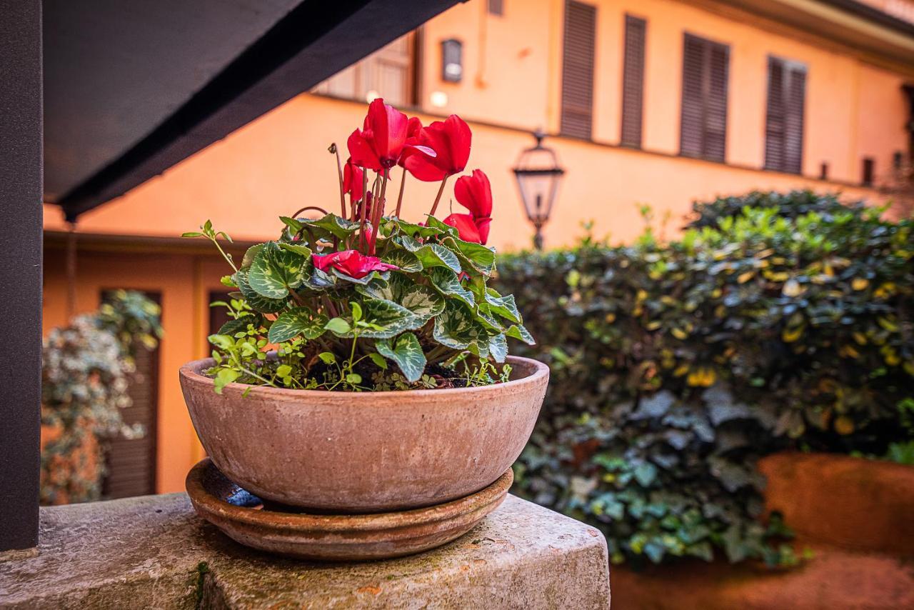 Cosy Studio In The Greenest Corner Of Trastevere Roma Eksteriør bilde